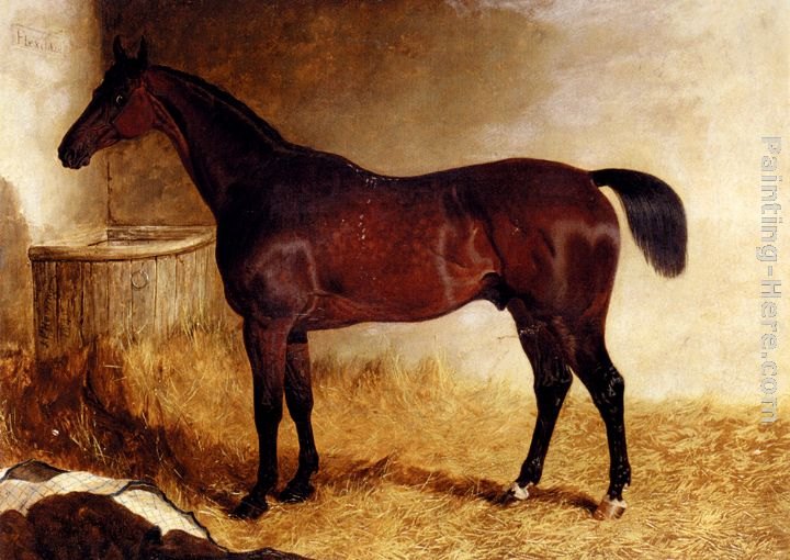 John Frederick Herring, Jnr Flexible, A Chestnut Racehorse In A Loose Box